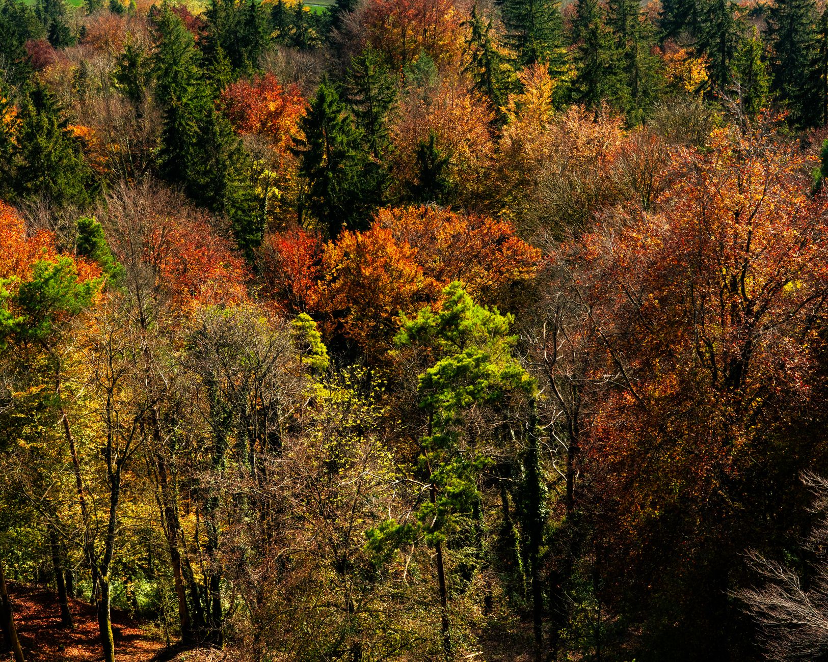 Les meilleures destinations pour un automne inoubliable