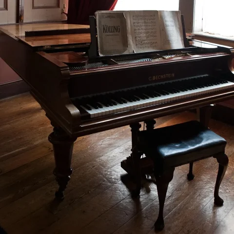 Compositeurs de musique classique les plus connus — Top 7