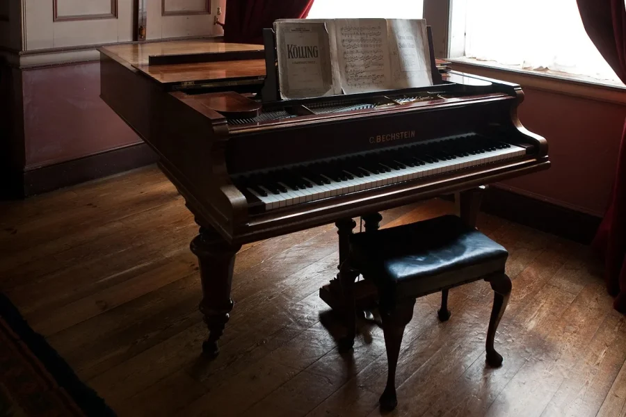 Compositeurs de musique classique les plus connus — Top 7