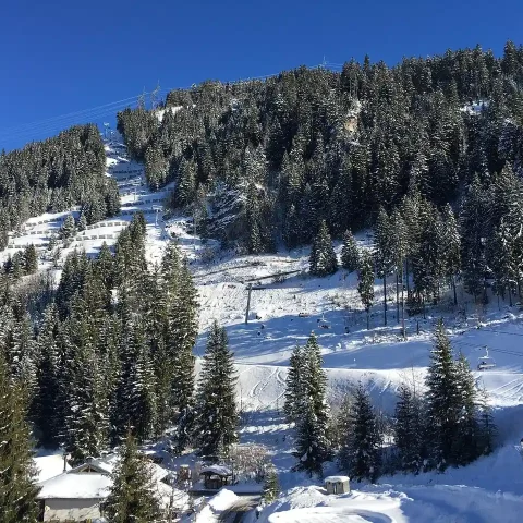 Les meilleures destinations de ski adaptées aux familles
