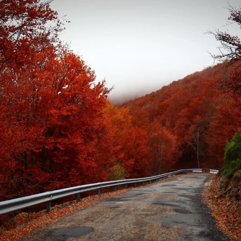 Les meilleures destinations pour un automne inoubliable