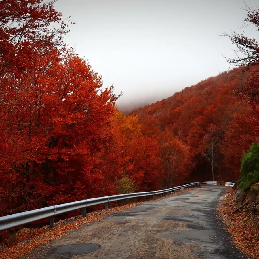 Les meilleures destinations pour un automne inoubliable