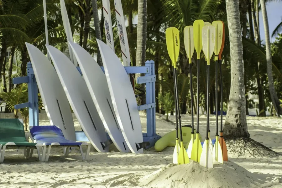 Pourquoi Punta Cana est-elle la destination idéale pour vos prochaines vacances ?
