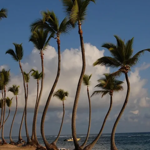 Punta Cana : la nouvelle destination à explorer