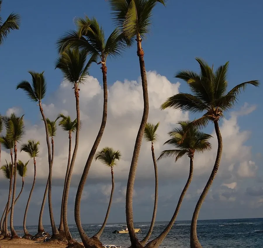 Punta Cana : la nouvelle destination à explorer