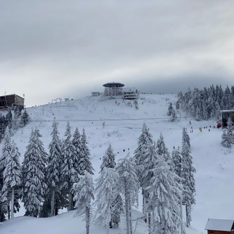 Les meilleures stations de ski pour les familles