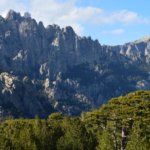 La Corse, destination prisée de l’été : pourquoi ?