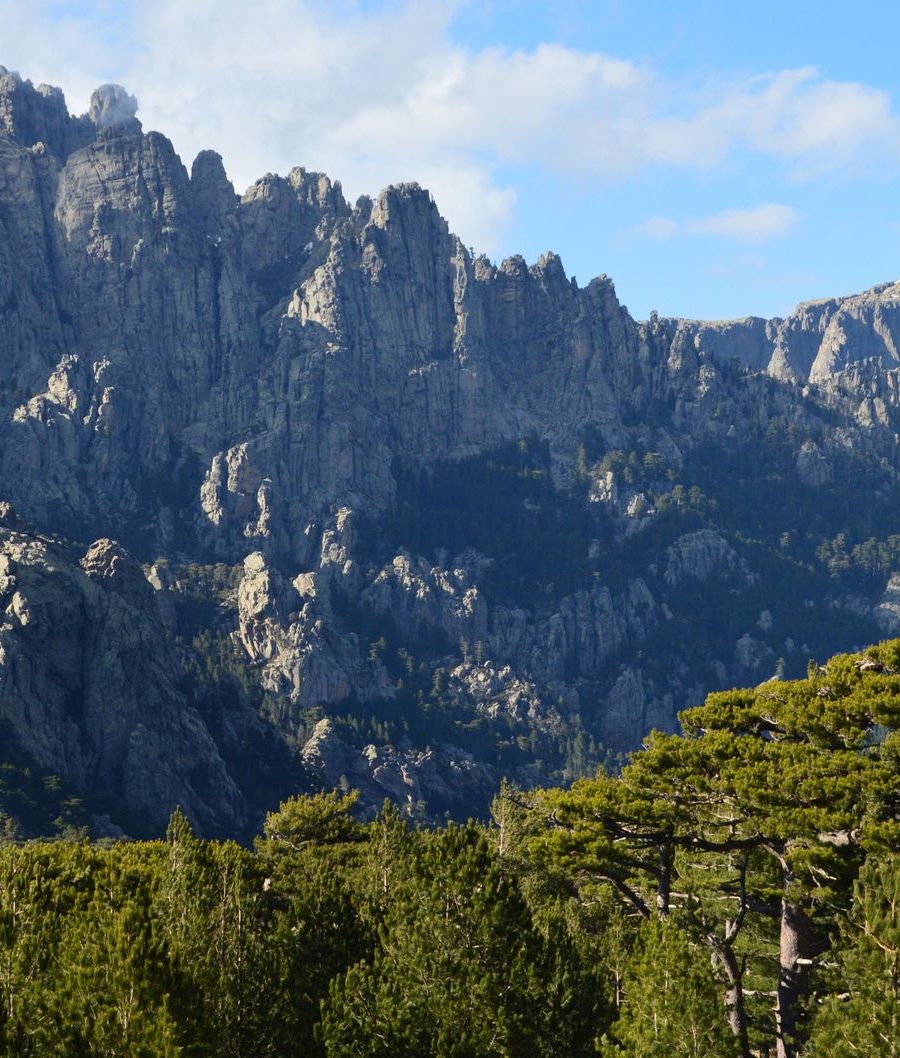 La Corse, destination prisée de l’été : pourquoi ?