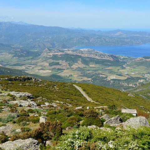 La Corse : la nouvelle destination incontournable de cet été
