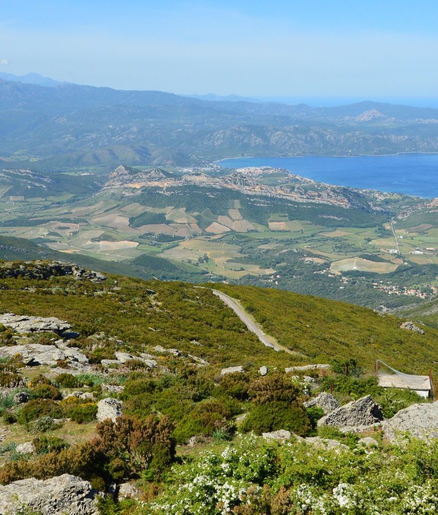 La Corse : la nouvelle destination incontournable de cet été