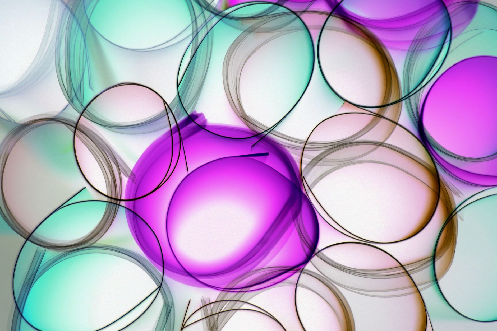 Réseauter dans les cercles artistiques et festifs