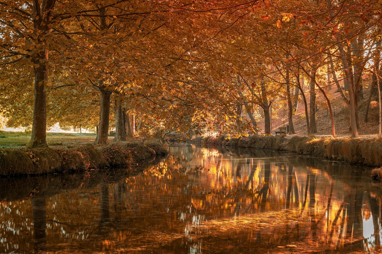 Miss Universe France : le concours en proie à des doutes sur sa légitimité