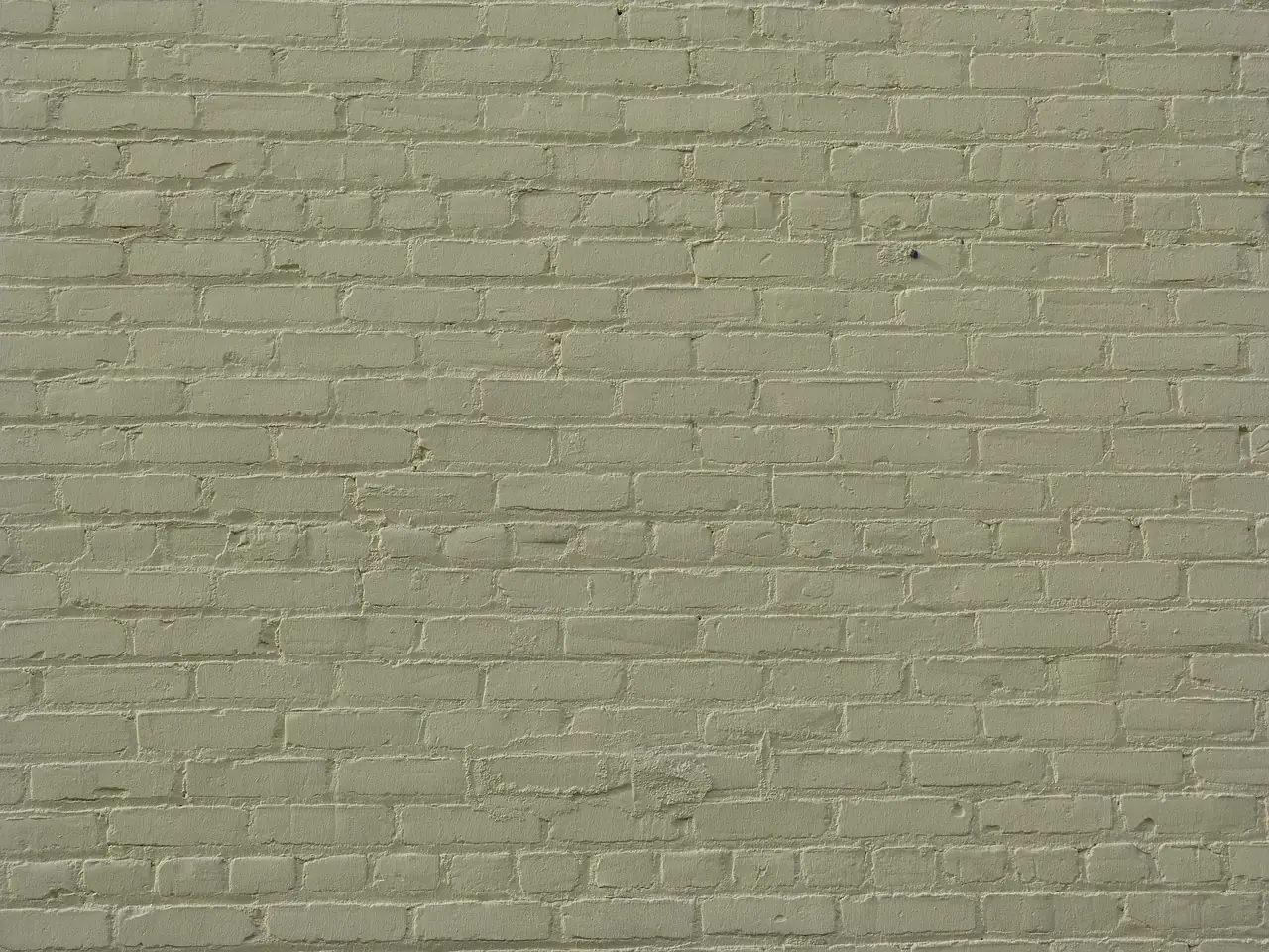 Mur en briques peint dans un ton vert sauge clair, montrant le rendu de la couleur une fois appliquée