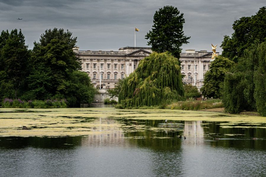 Camilla : un polar sur Buckingham Palace, un risque calculé ou une imprudence ?