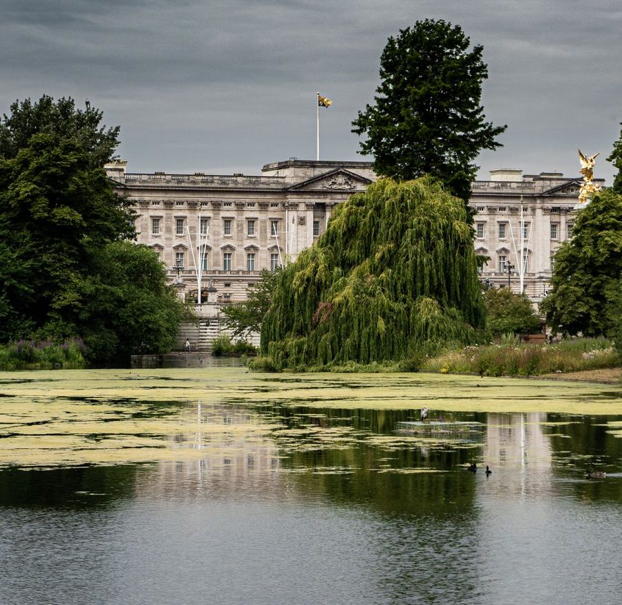 Camilla : un polar sur Buckingham Palace, un risque calculé ou une imprudence ?