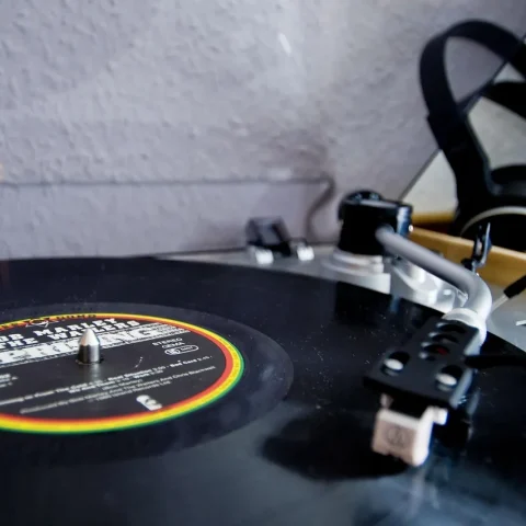 Qui a chanté Il faut danser reggae en 1980