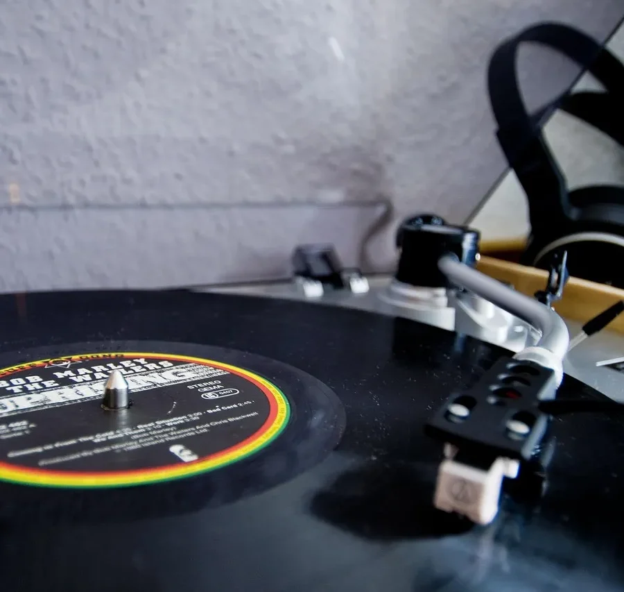 Qui a chanté Il faut danser reggae en 1980