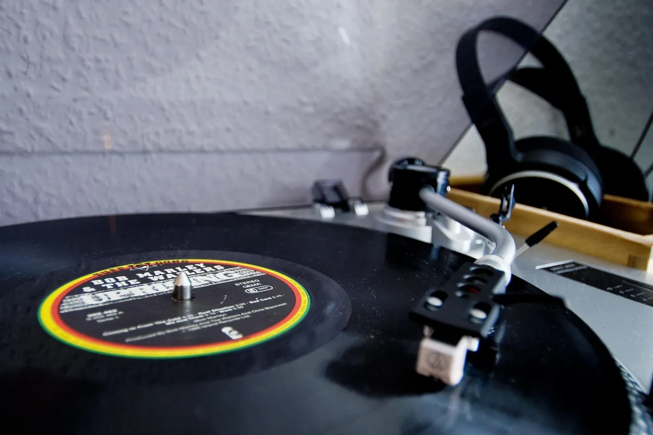 Qui a chanté Il faut danser reggae en 1980